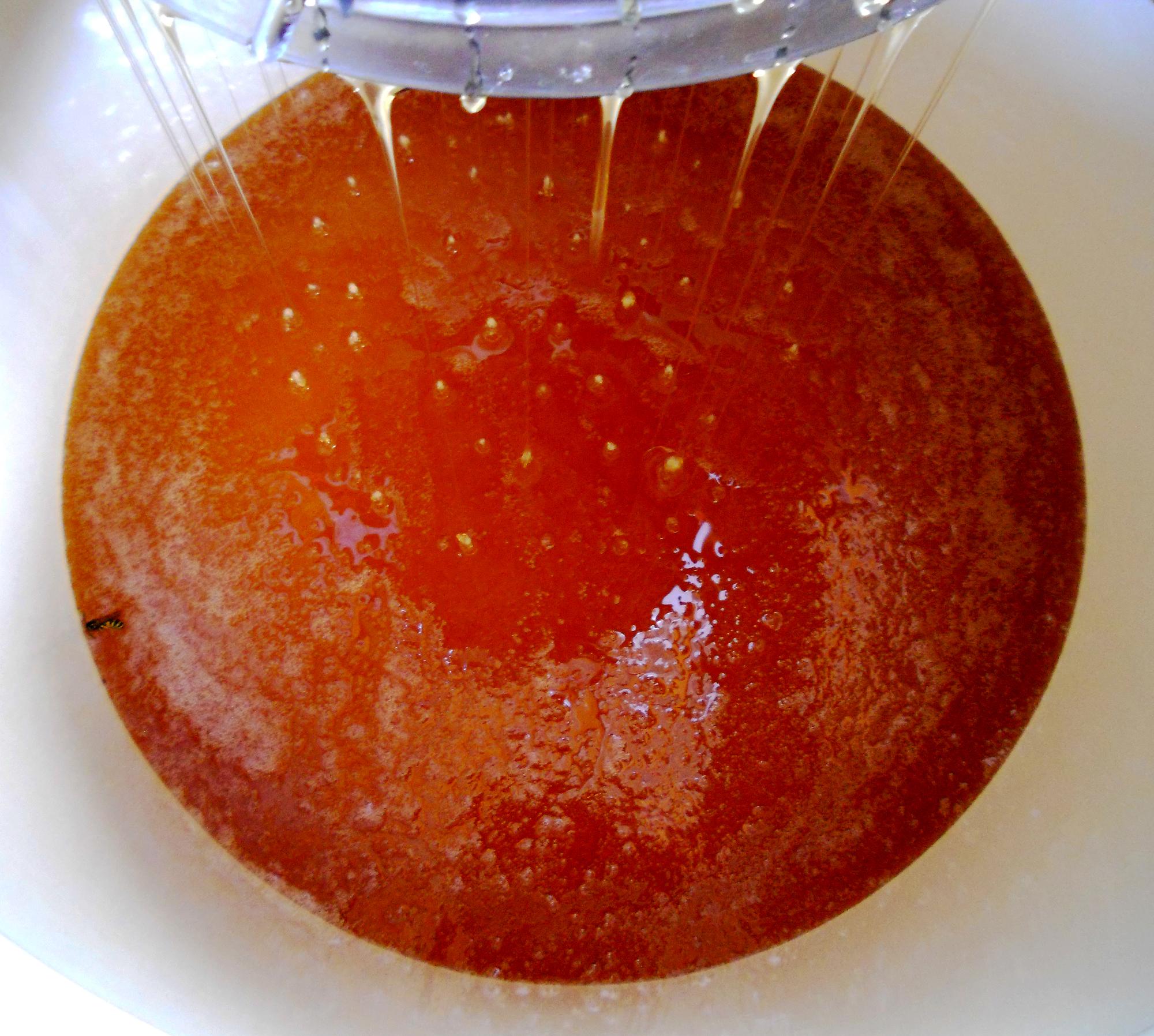Close-up of plated sauce and texture